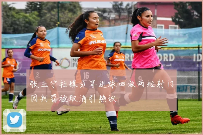 张玉宁社媒分享进球回放两粒射门因判罚被取消引热议